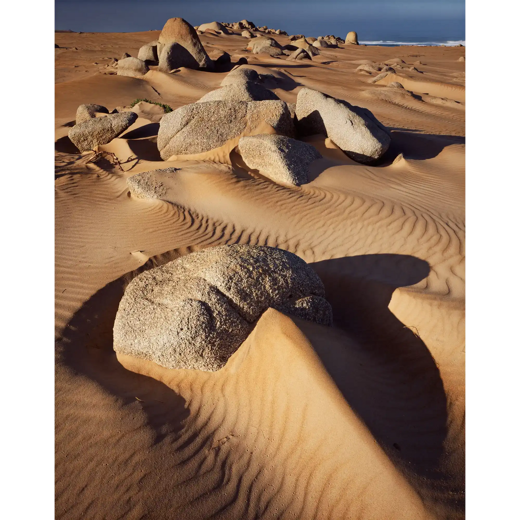 Dunes and Granite, Tarkine Wilderness, Tasmania by Peter Dombrovskis