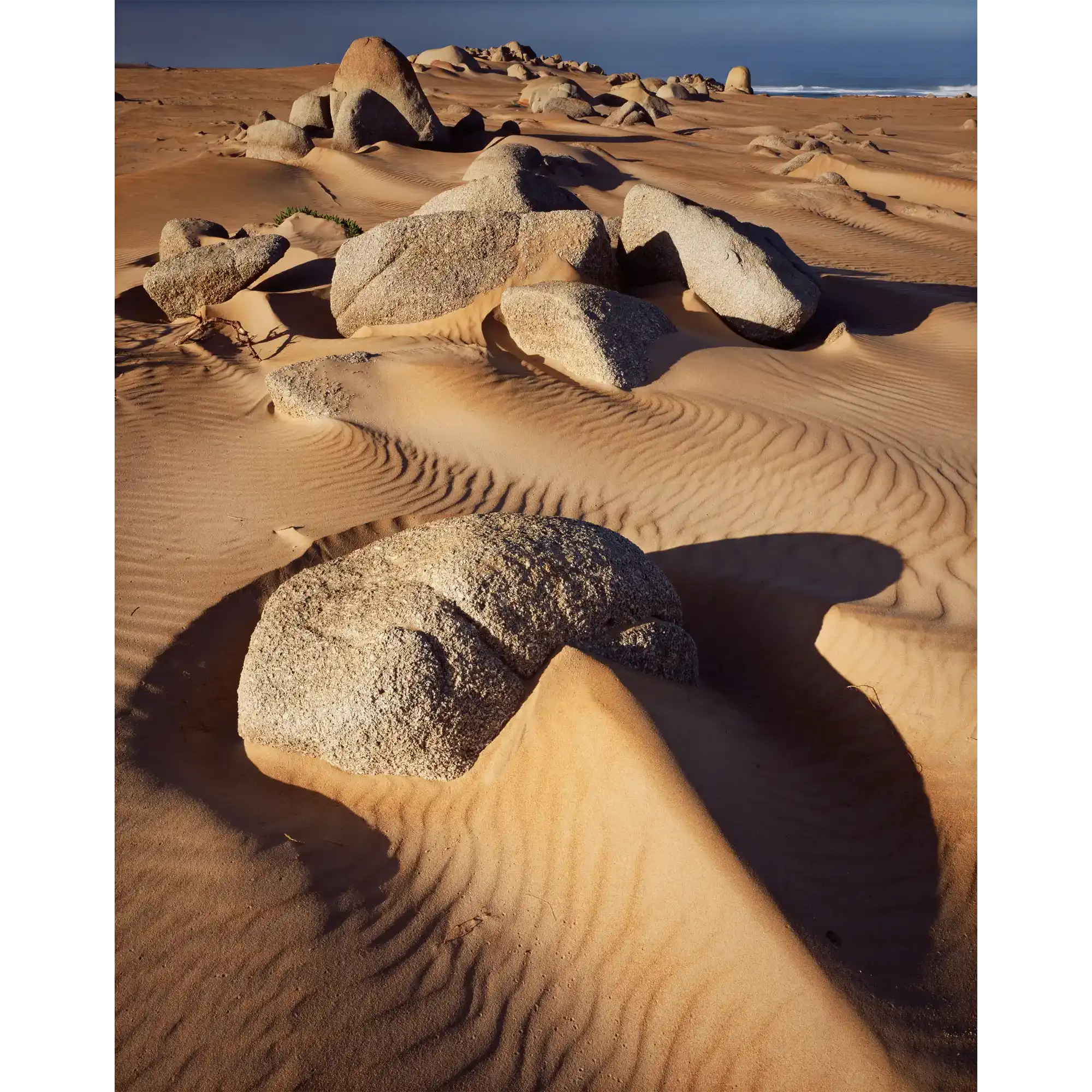 Dunes and Granite, Tarkine Wilderness, Tasmania by Peter Dombrovskis