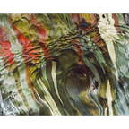 Bark of Snowgum, Du Cane Range - Cradle Mountain-Lake St Clair National Park by Peter Dombrovskis