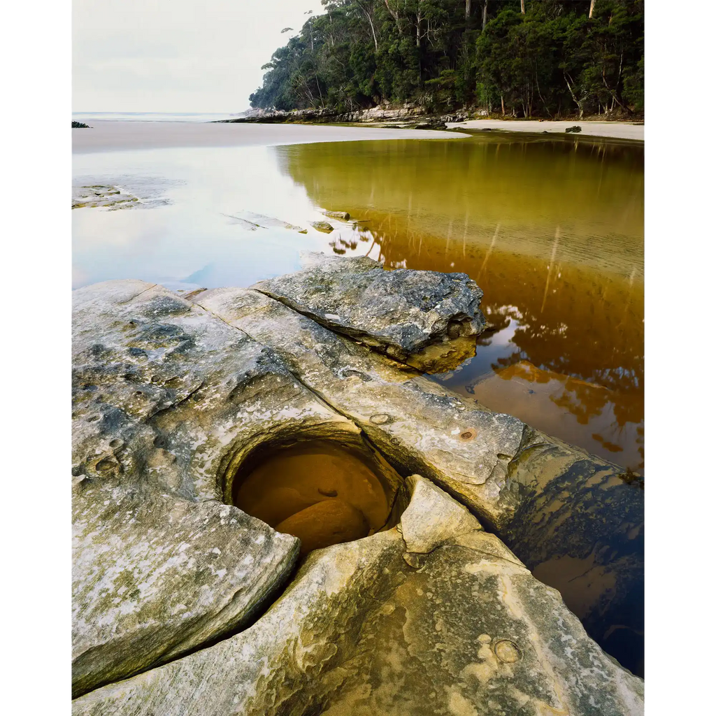 South Cape Rivulet, southwest Tasmania by Peter Dombrovskis
