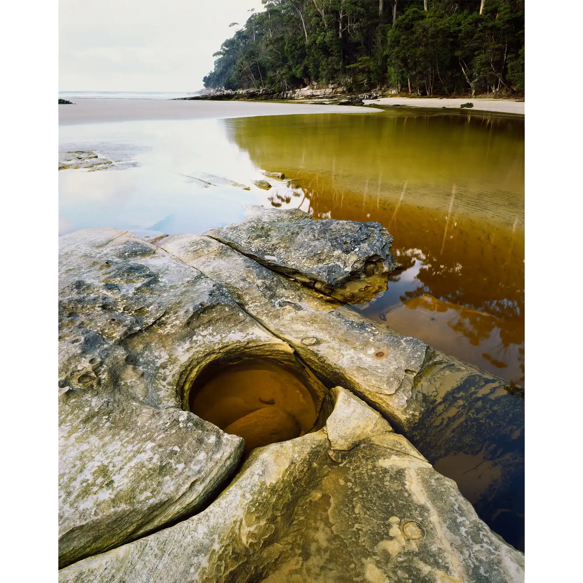 South Cape Rivulet, southwest Tasmania by Peter Dombrovskis