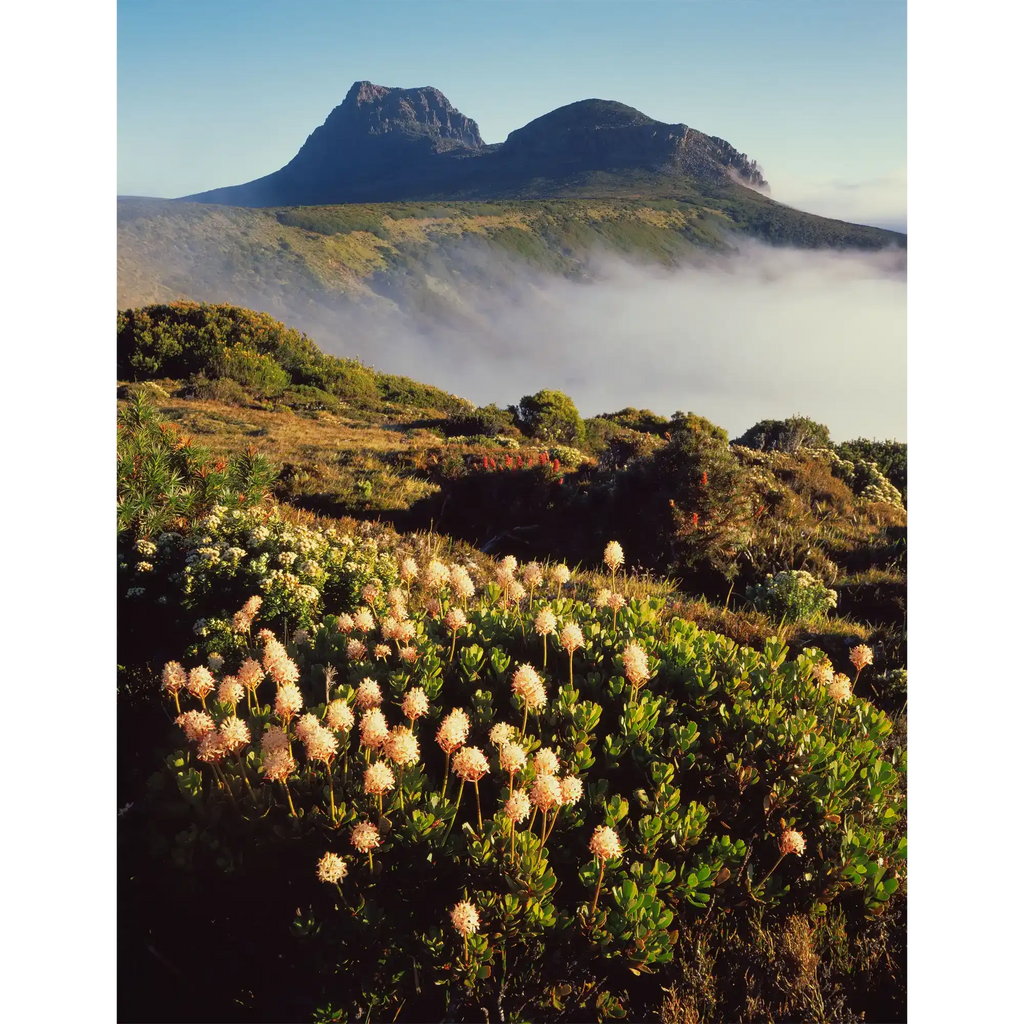 Morning mist in Cradle Cirque, Cradle Mountain, Tasmania by Peter Dombrovskis