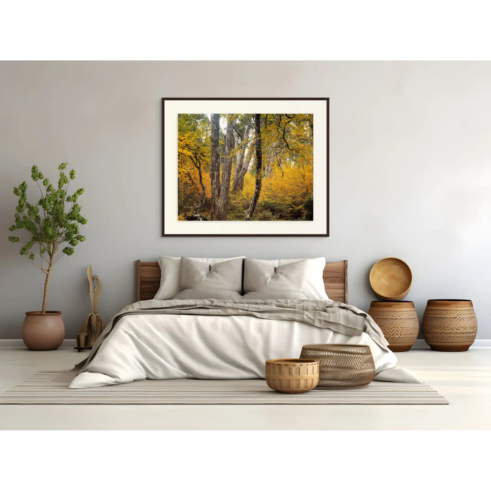 Autumn Forest near Barn Bluff, Tasmania by Peter Dombrovskis