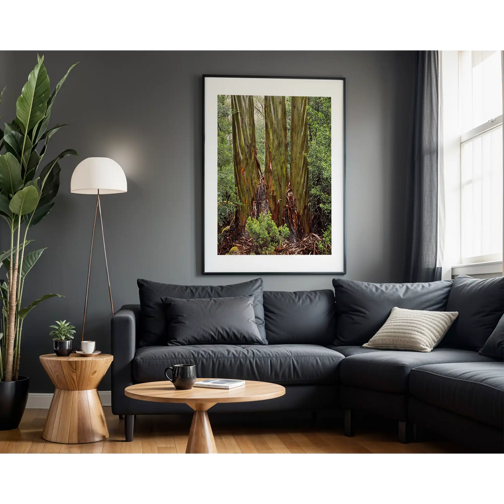 Eucalypt trunks in Rain, Pine Valley, Tasmania by Peter Dombrovskis
