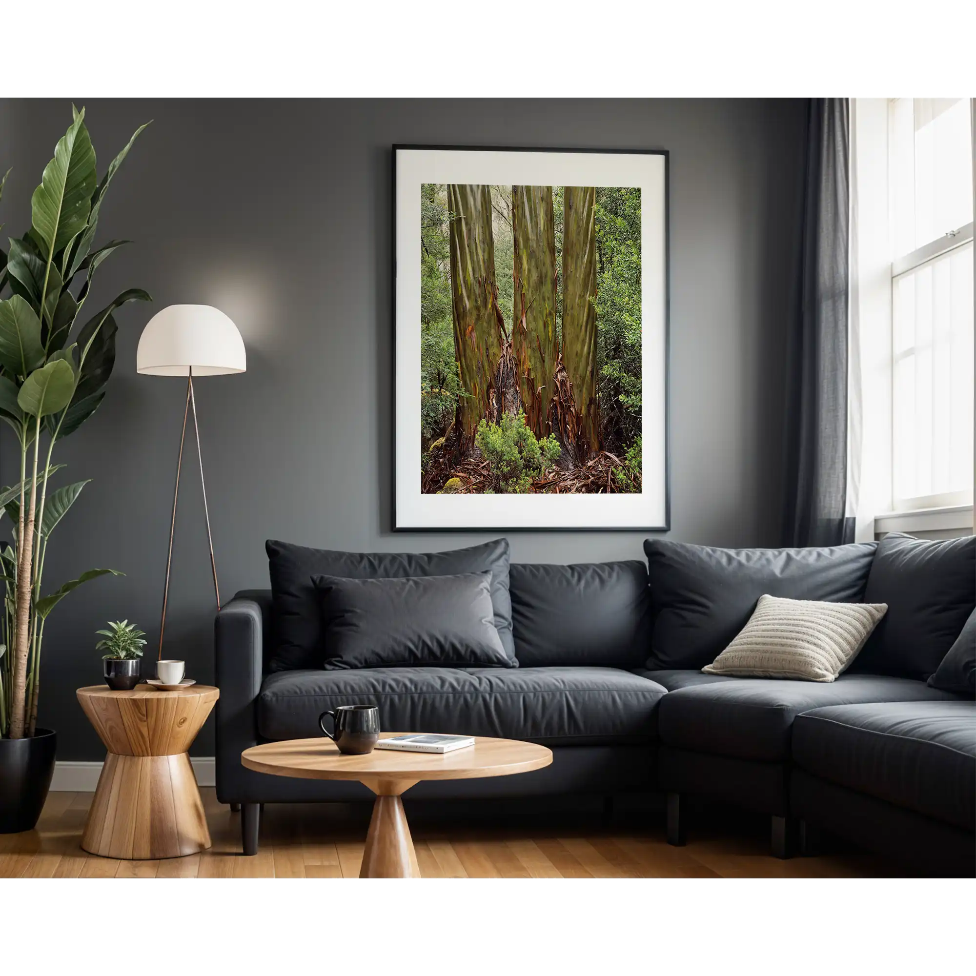 Eucalypt trunks in Rain, Pine Valley, Tasmania by Peter Dombrovskis