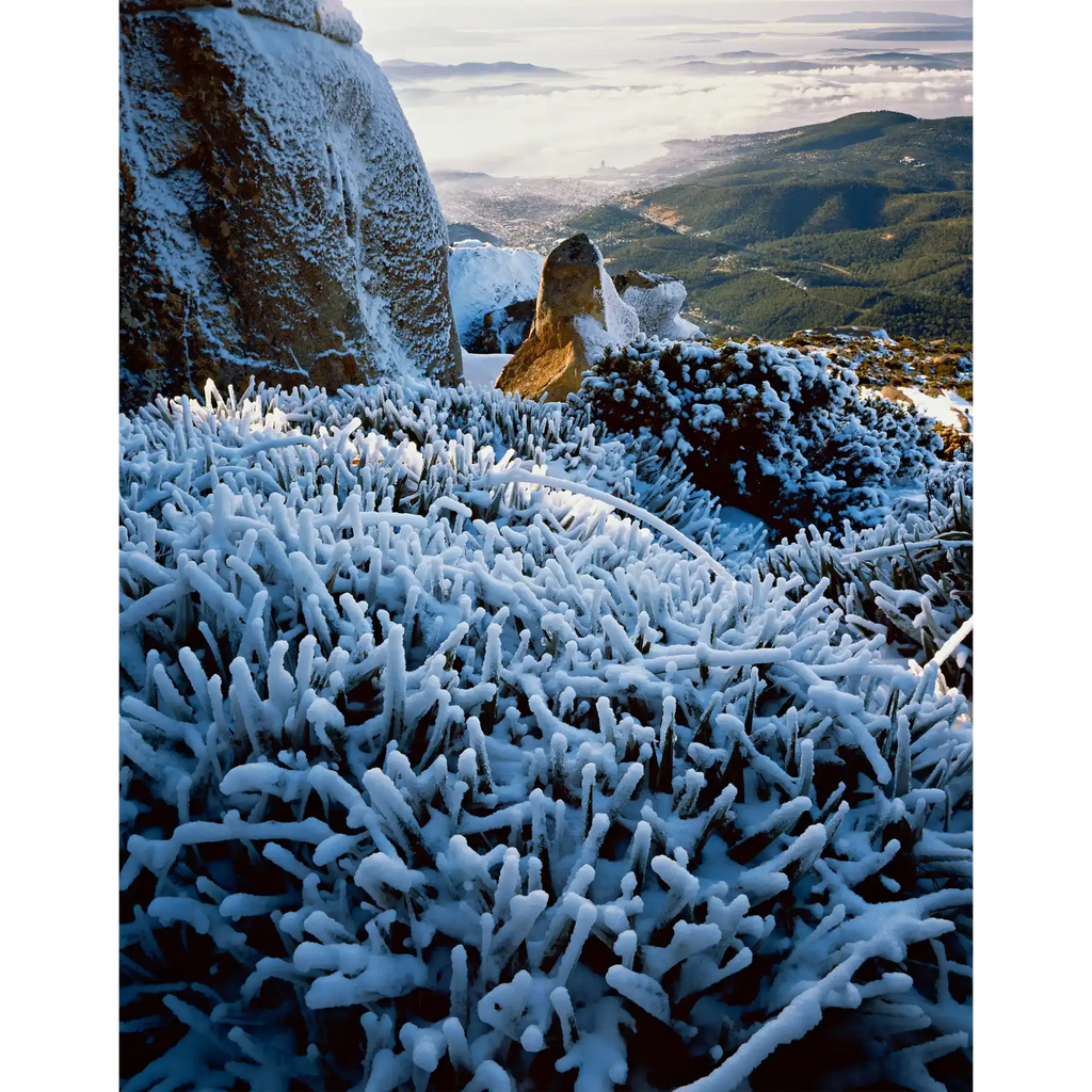 Hobart and the Derwent estuary from the summit, Mount Wellington, Tasmania by Peter Dombrovskis