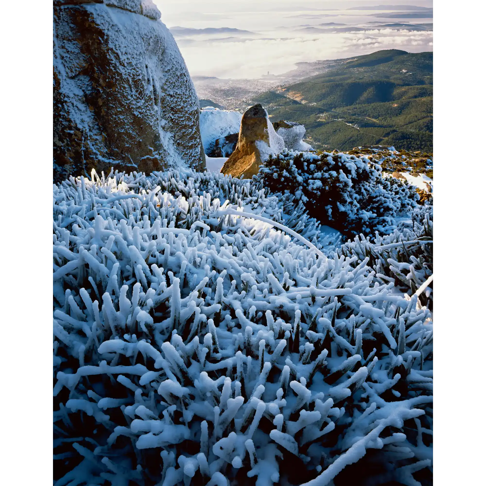 Hobart and the Derwent estuary from the summit, Mount Wellington, Tasmania by Peter Dombrovskis