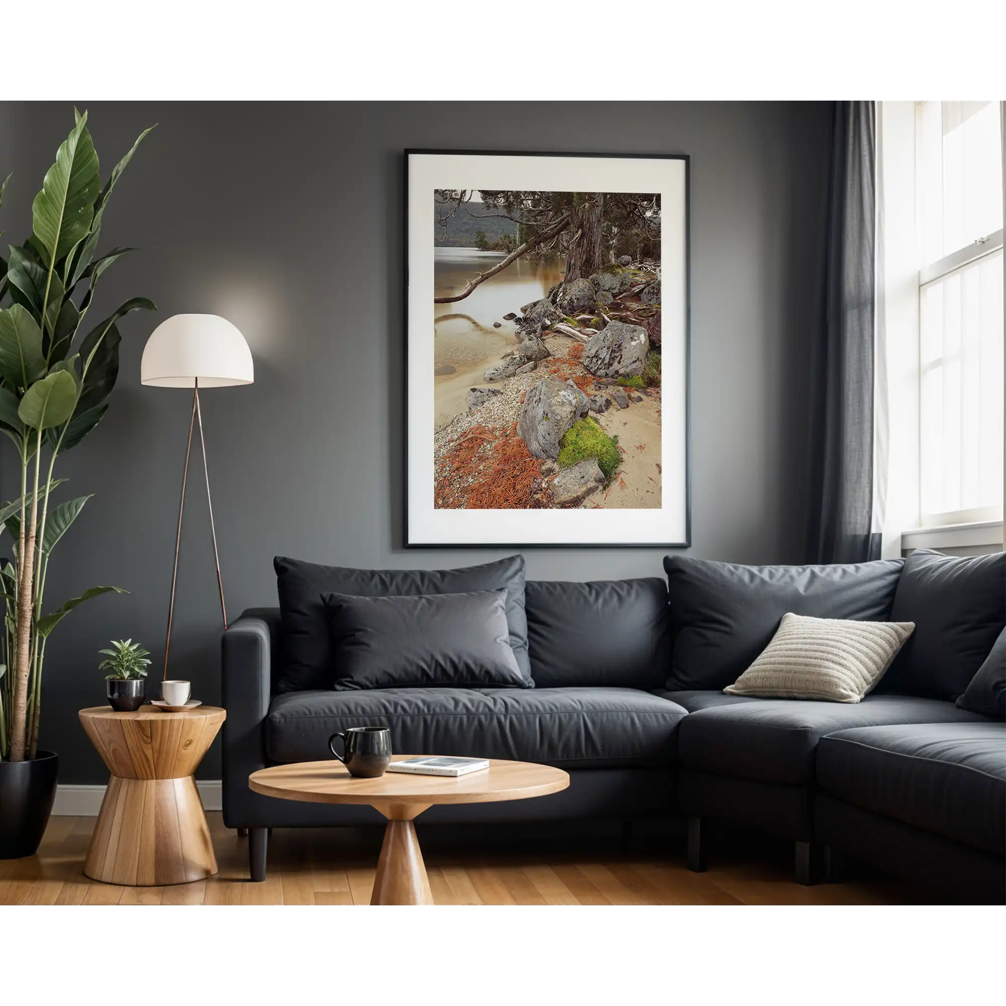 Shoreline at Lake Will, Cradle Mountain-Lake St Clair National Park, Tasmania by Peter Dombrovskis