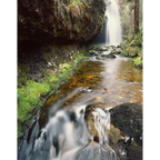 In Waterfall Valley, Cradle Mountain-Lake St Clair National Park, Tasmania by Peter Dombrovskis