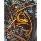 Drying Kelp at Sandy Bay, Macquarie Island, Tasmania by Peter Dombrovskis