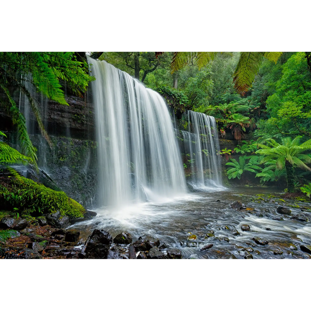 Russell Falls by Dennis Harding