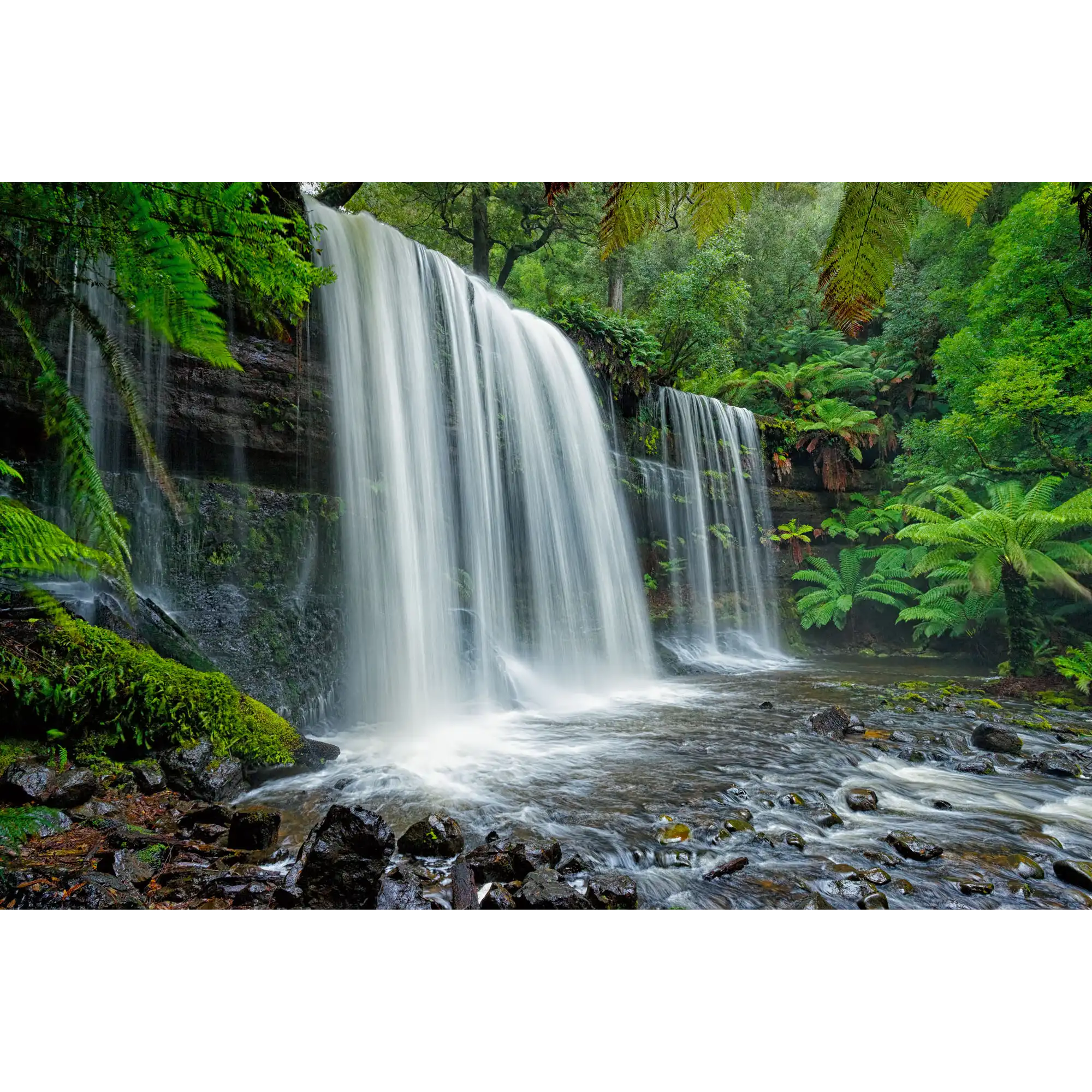 Russell Falls by Dennis Harding