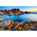 Trial Harbour, Tasmania by Dennis Harding