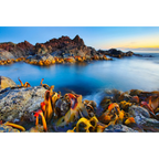 Trial Harbour, Tasmania by Dennis Harding