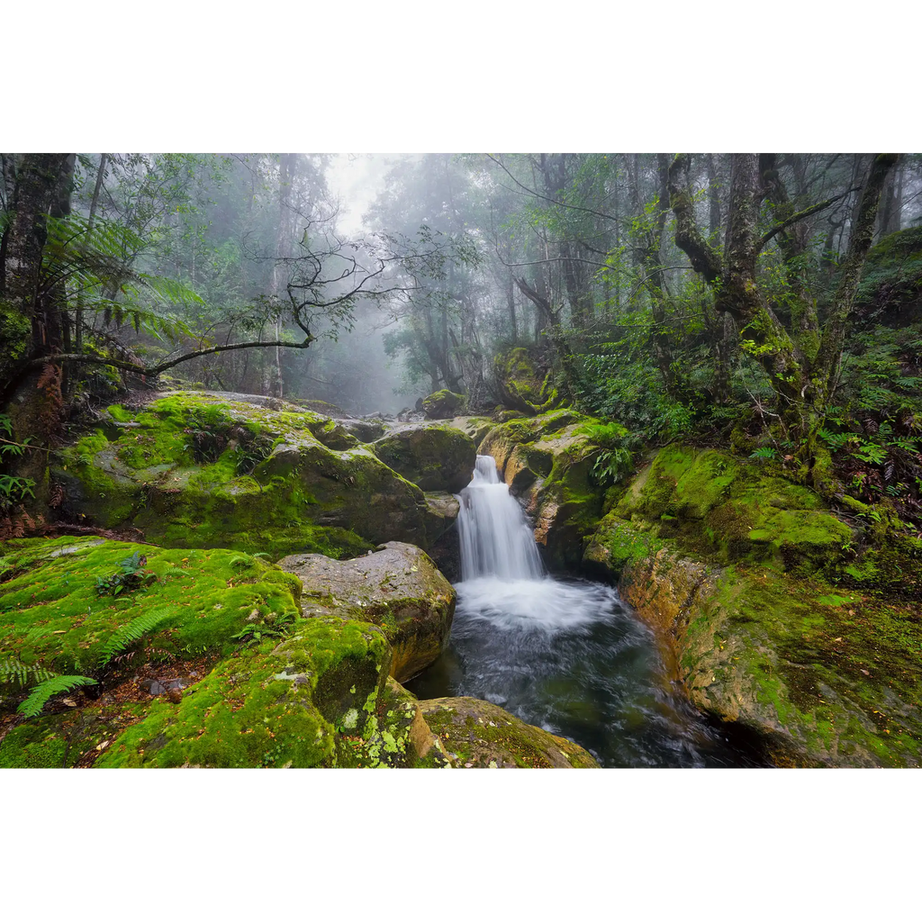 Upper Liffey waterfall, Great Western Tiers, Tasmania by Dennis Harding