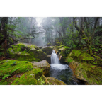Upper Liffey waterfall, Great Western Tiers, Tasmania by Dennis Harding