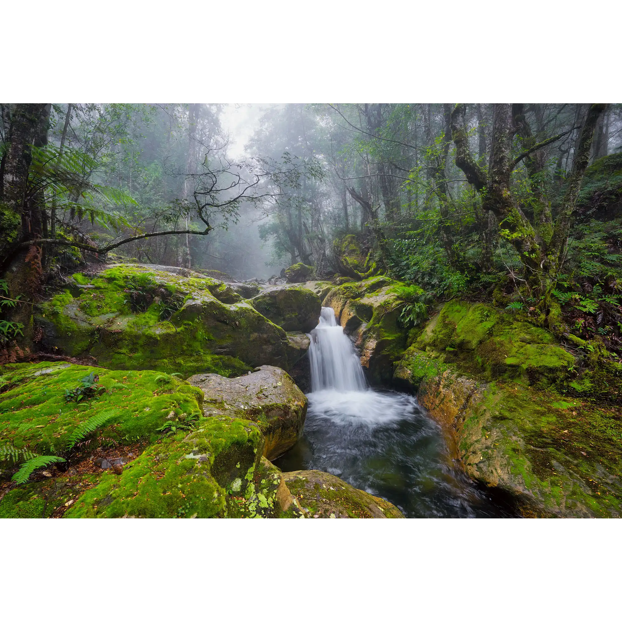 Upper Liffey waterfall, Great Western Tiers, Tasmania by Dennis Harding