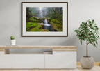 Upper Liffey waterfall, Great Western Tiers, Tasmania by Dennis Harding