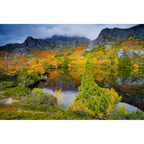 Suttons Tarn, Cradle Mountain by Dennis Harding