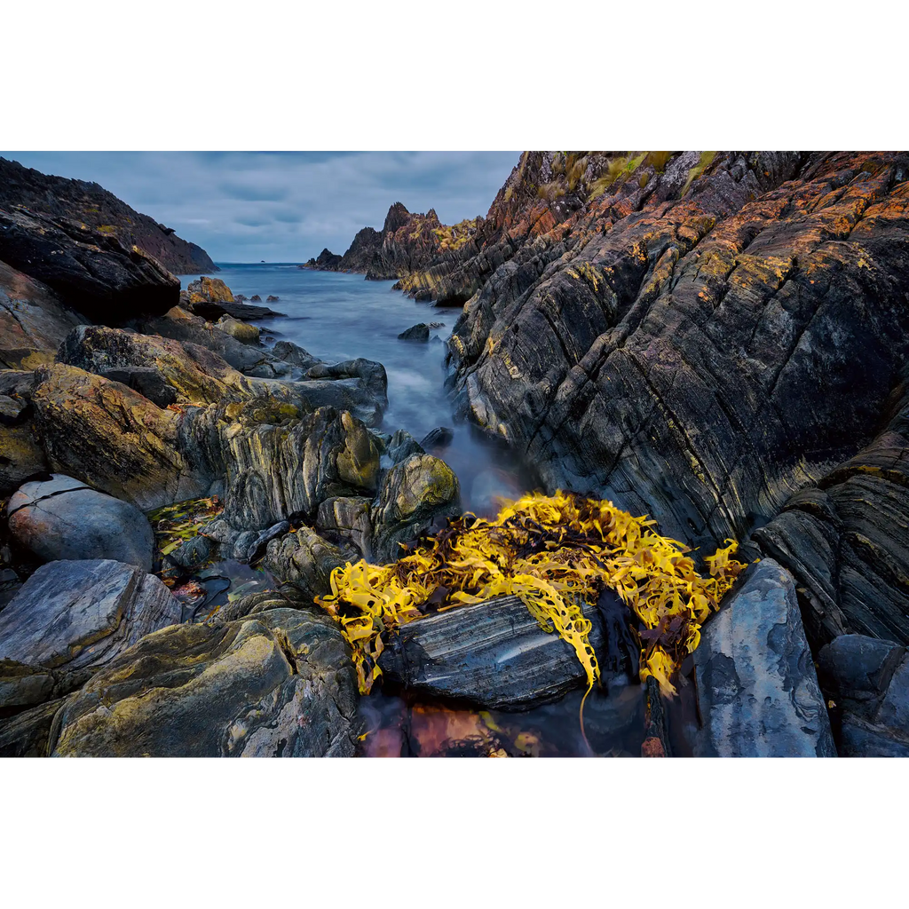 Near Sarah Anne Rocks, Tasmania by Dennis Harding