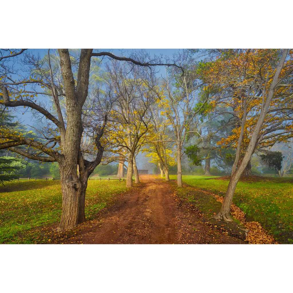 Entally Estate, Hadspen, Tasmania by Dennis Harding