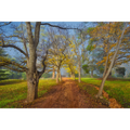 Entally Estate, Hadspen, Tasmania by Dennis Harding