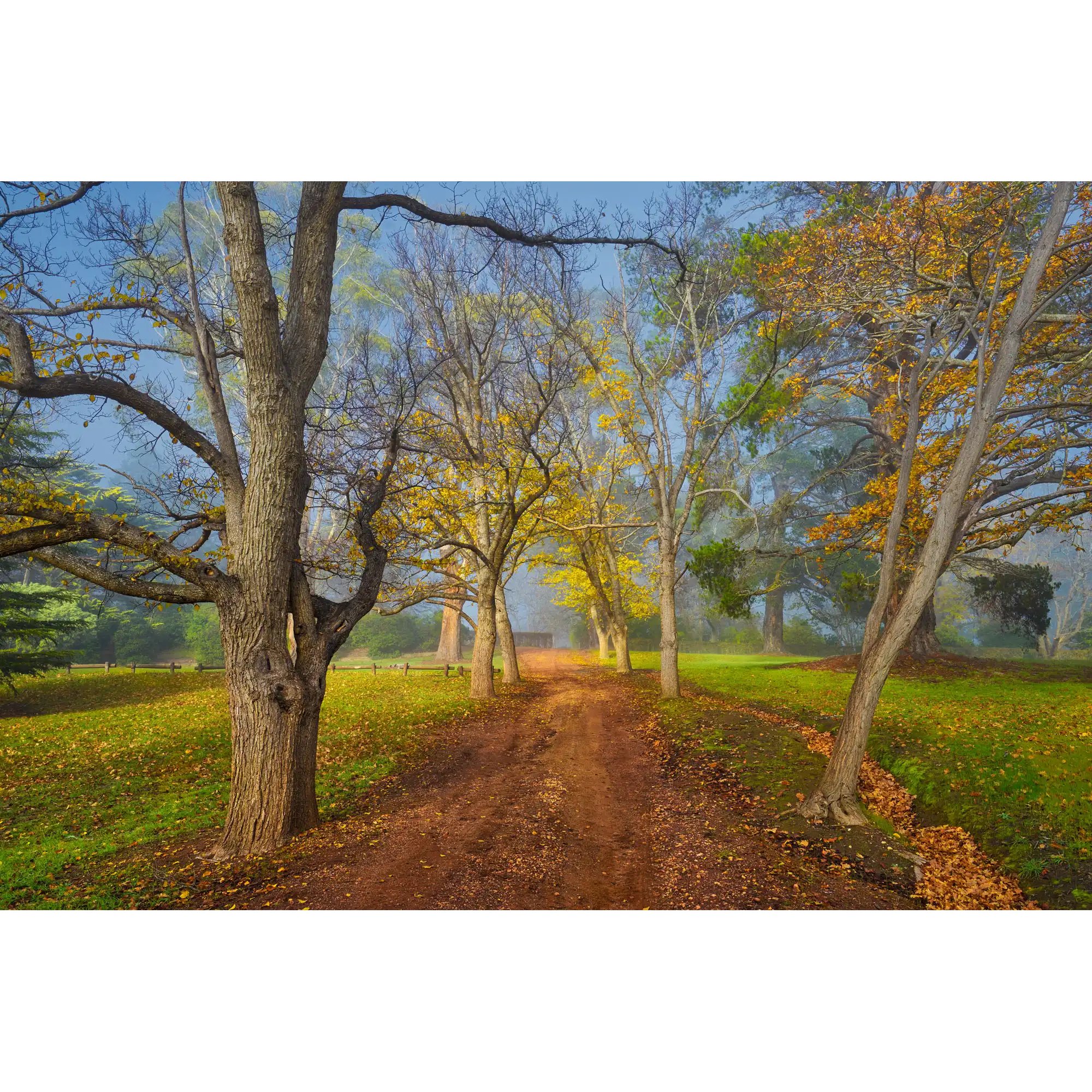 Entally Estate, Hadspen, Tasmania by Dennis Harding