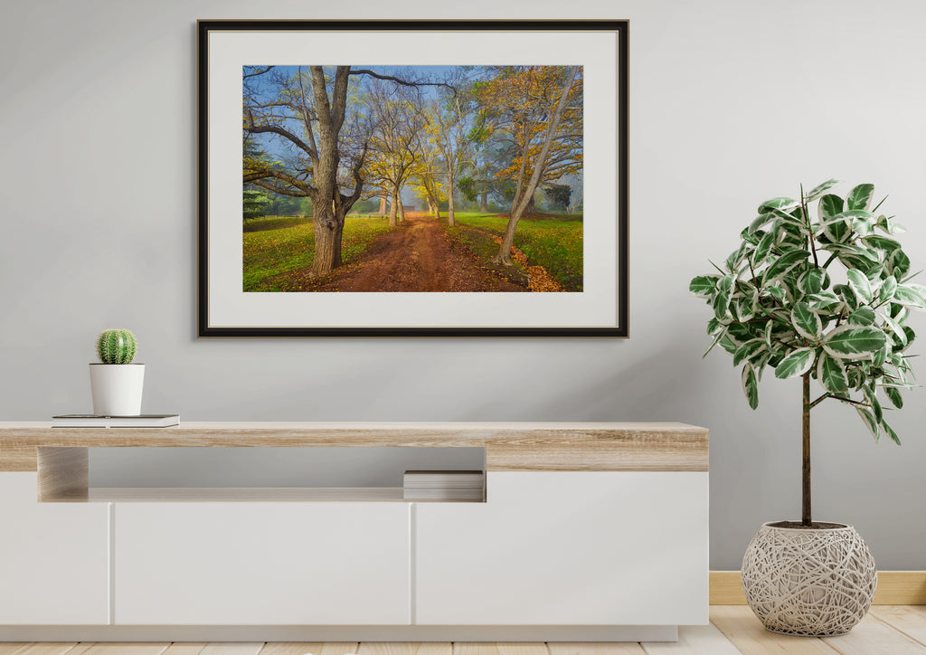 Entally Estate, Hadspen, Tasmania by Dennis Harding