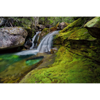 Meander Valley cascade, Great Western Tiers, Tasmania by Dennis Harding