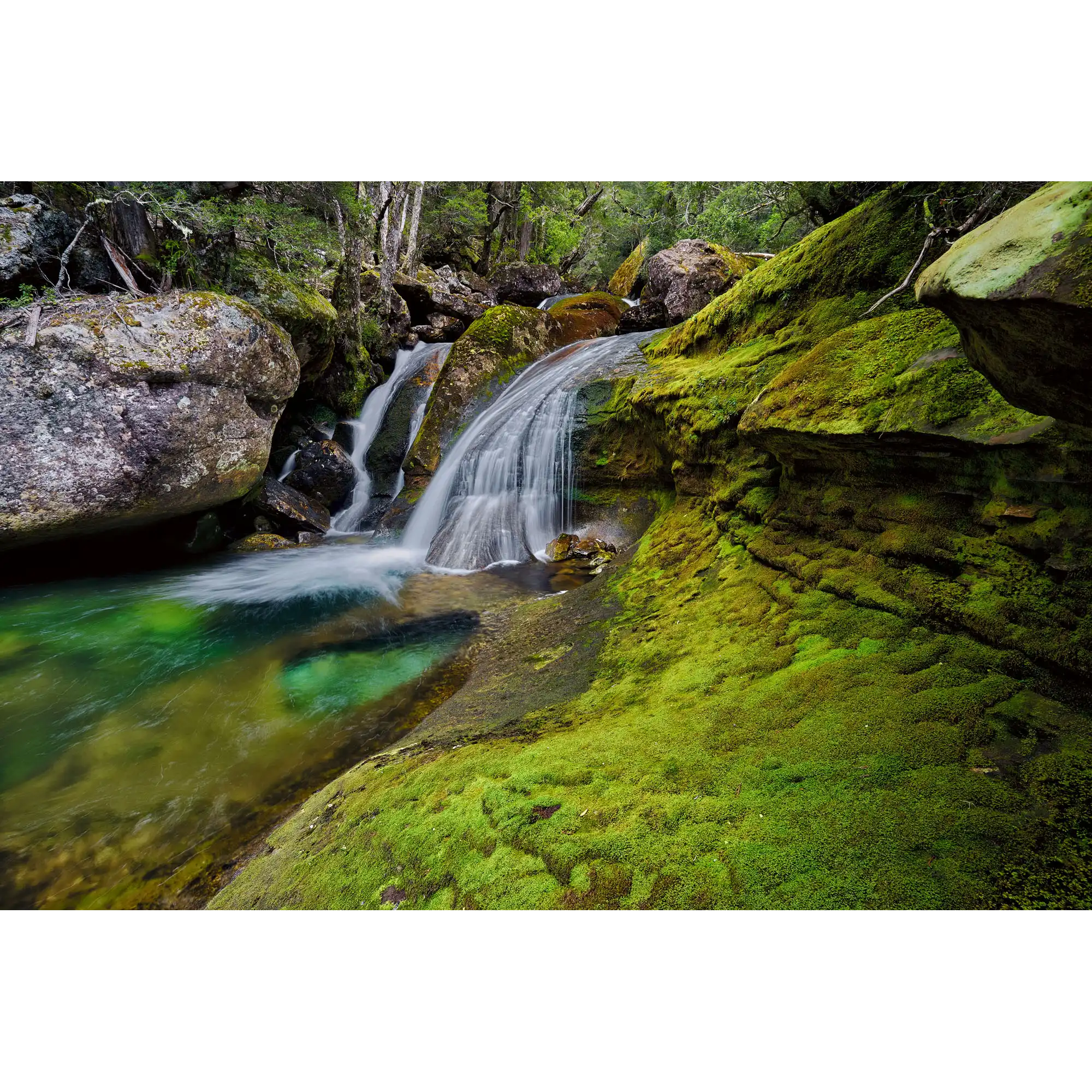 Meander Valley cascade, Great Western Tiers, Tasmania by Dennis Harding