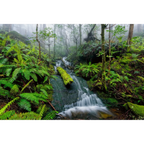 Bastion Cascades, Great Western Tiers, Tasmania by Dennis Harding