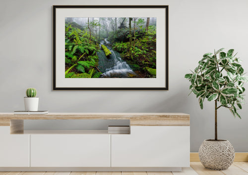 Bastion Cascades, Great Western Tiers, Tasmania by Dennis Harding