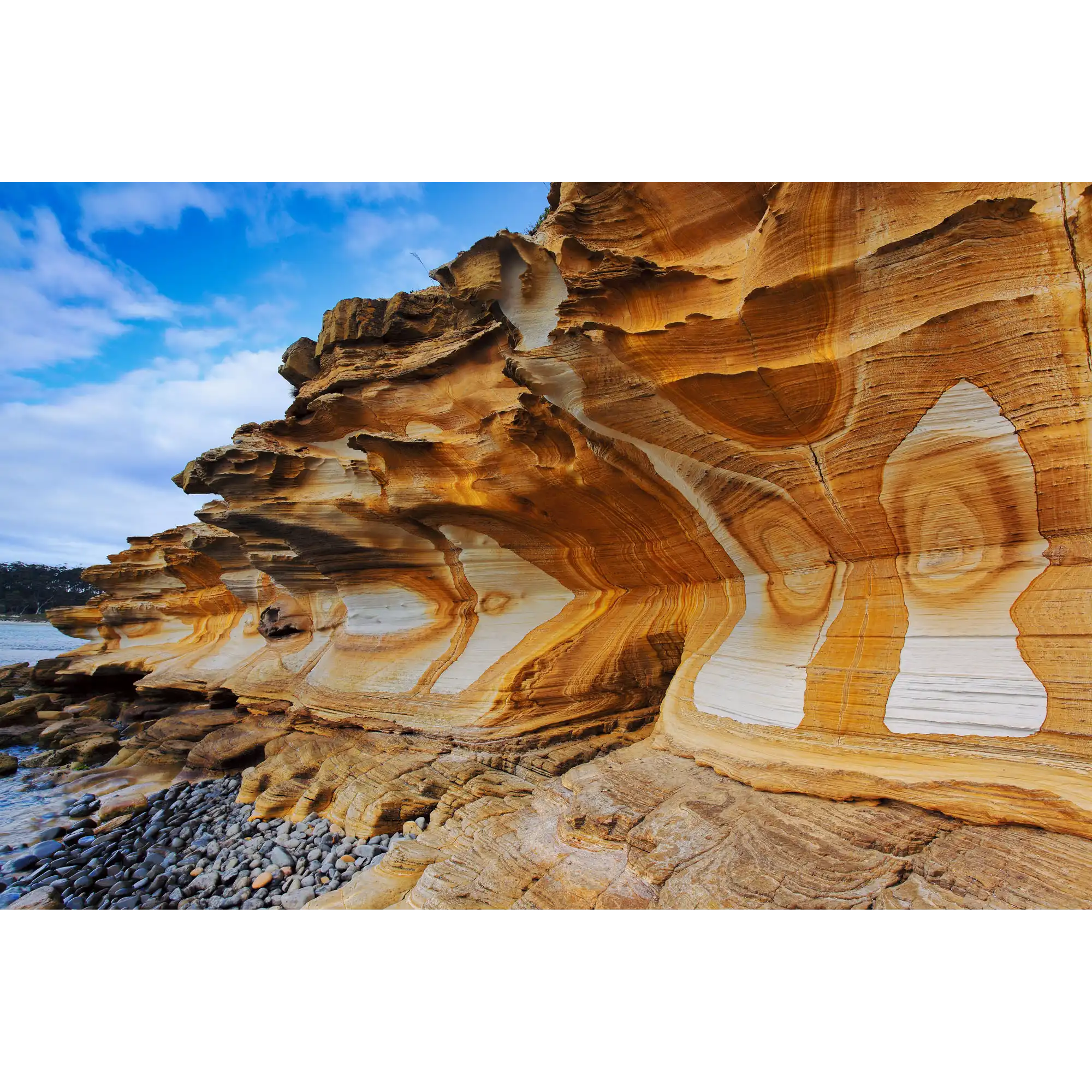 Painted Cliffs, Maria Island National Park by Dennis Harding