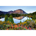 Walls of Jerusalem National Park by Dennis Harding