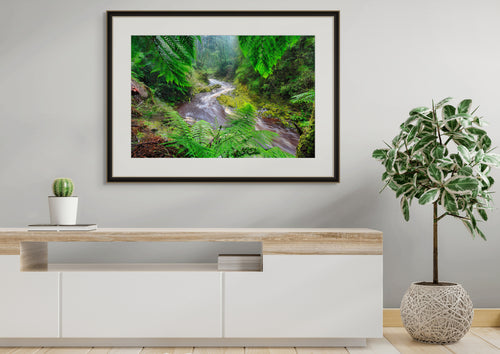 Bird River, Tasmania by Dennis Harding