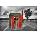 Old hut near Mathinna by Dennis Harding
