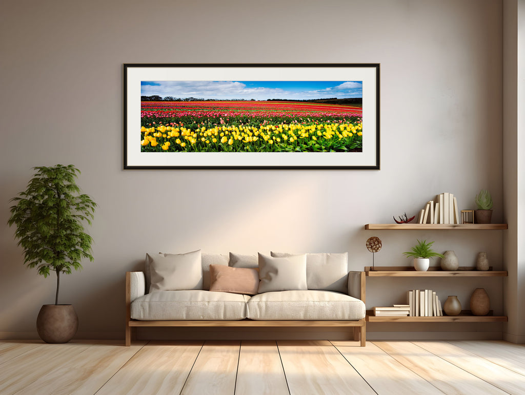 Table Cape Tulip Farm near Wynyard. (Panoramic) by Dennis Harding