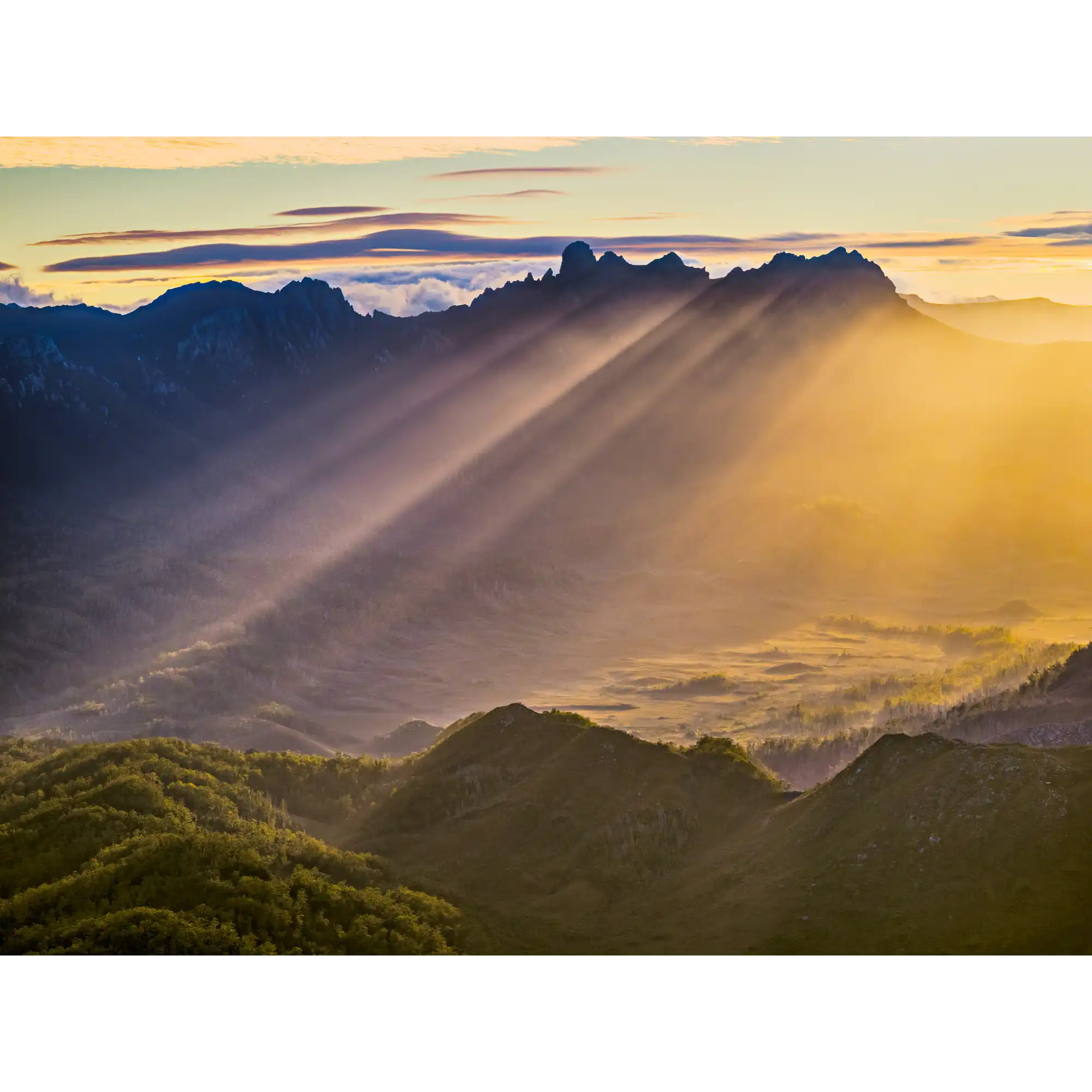 Sunbeams over the Old River  by Martin Hawes