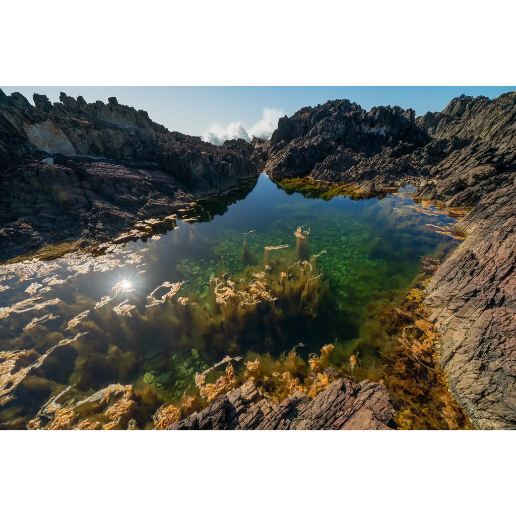 Tidal Pool  by Martin Hawes