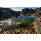 Tidal Pool  by Martin Hawes