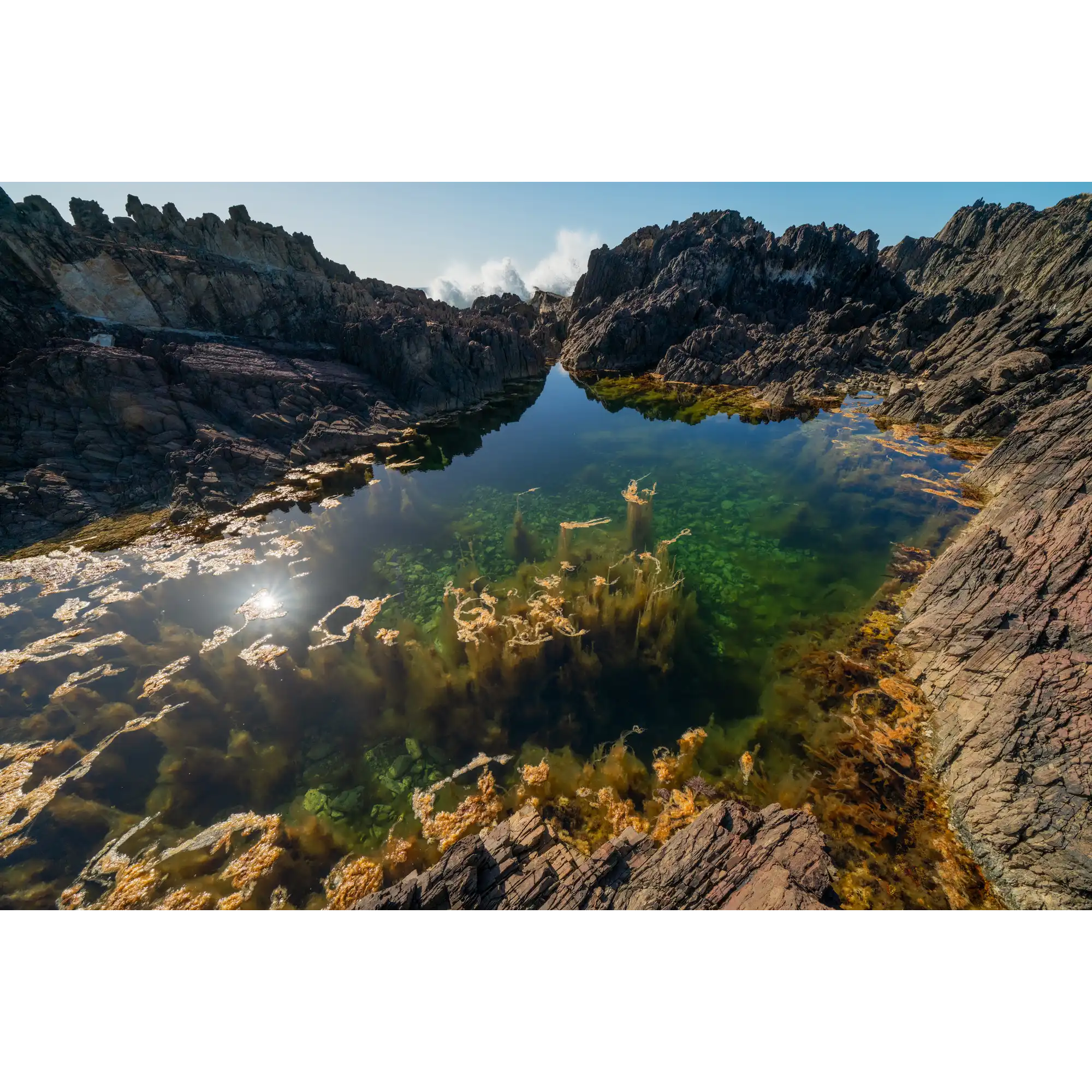 Tidal Pool  by Martin Hawes