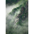 Lone spruce by Martin Hawes