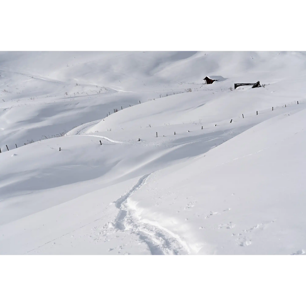 Alpine meadows in winter by Martin Hawes