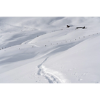 Alpine meadows in winter by Martin Hawes