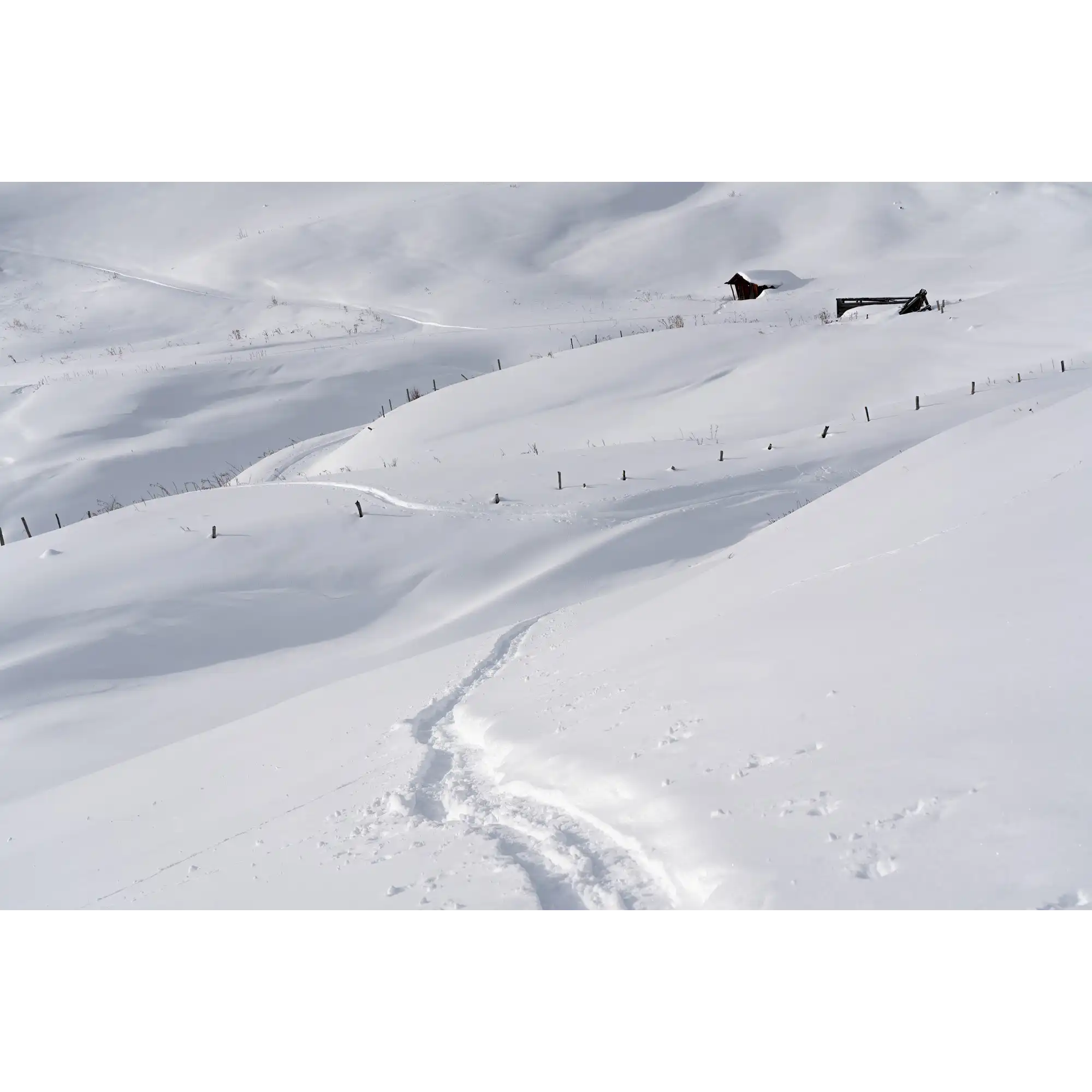 Alpine meadows in winter by Martin Hawes