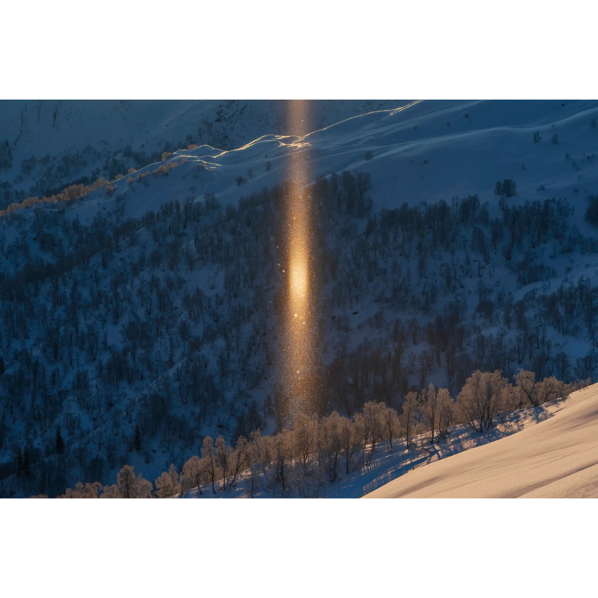 Winter sunlight reflecting off falling ice flakes by Martin Hawes