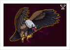 Eagle By Nick Hills