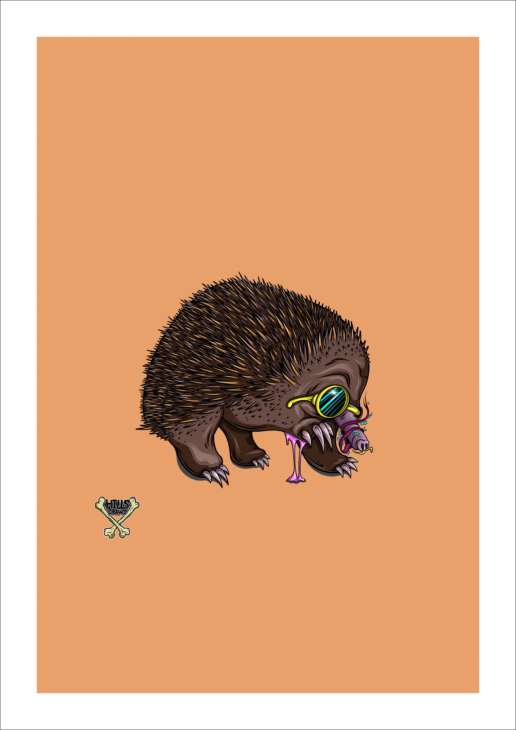 Echidna By Nick Hills