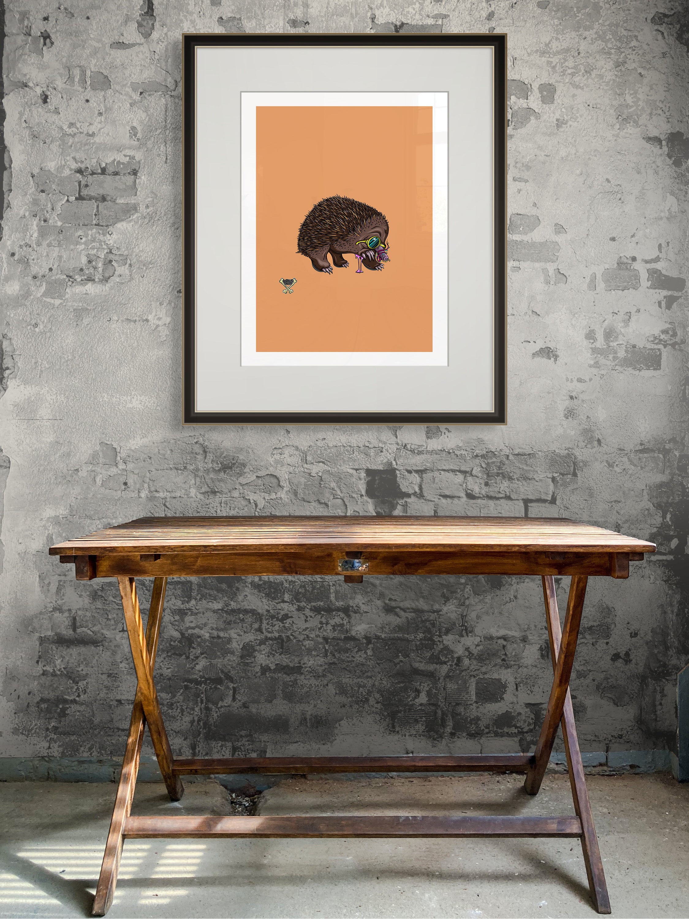 Echidna By Nick Hills