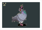 Pigeon By Nick Hills